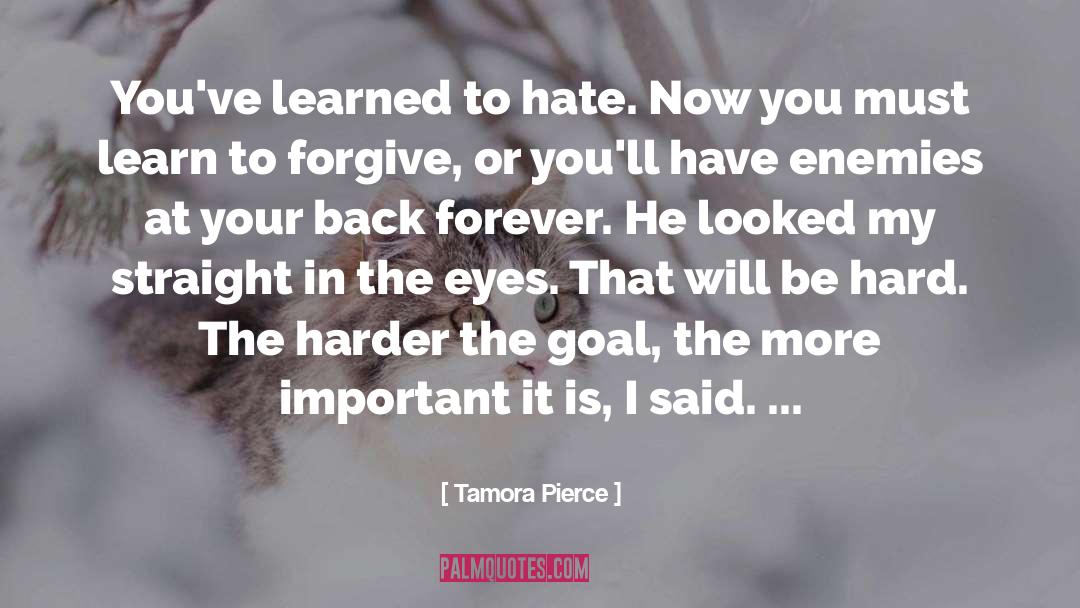 Tamora Pierce Quotes: You've learned to hate. Now