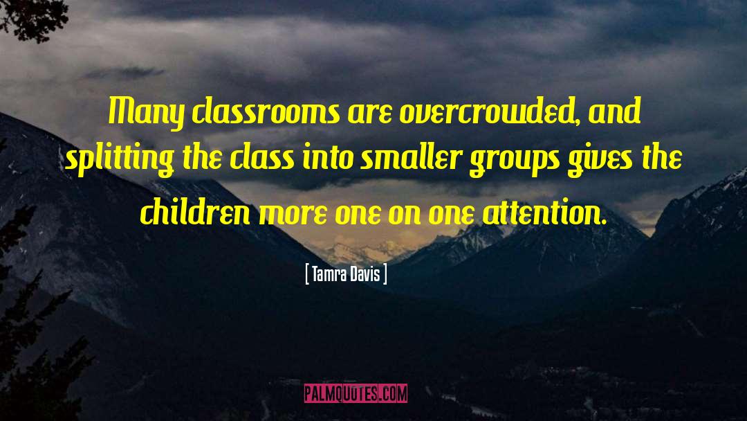 Tamra Davis Quotes: Many classrooms are overcrowded, and