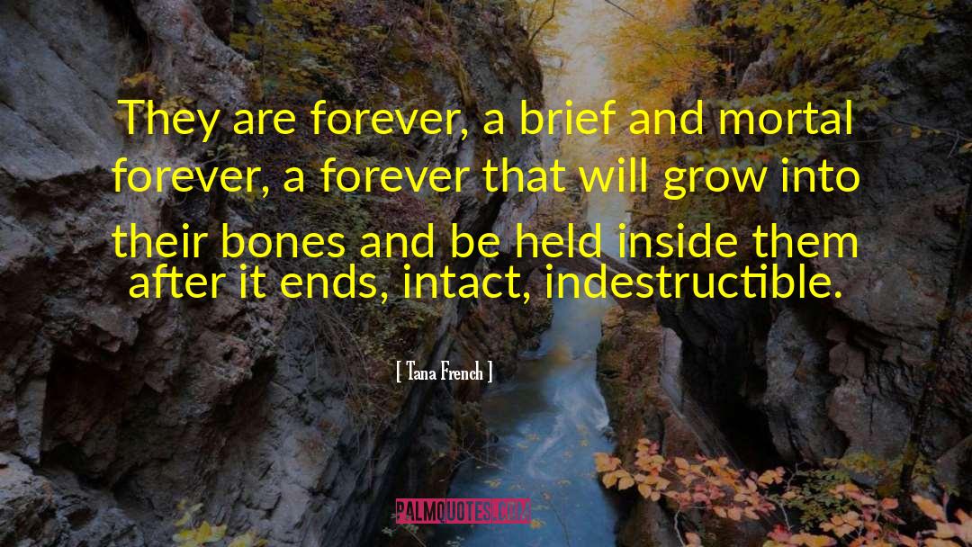 Tana French Quotes: They are forever, a brief