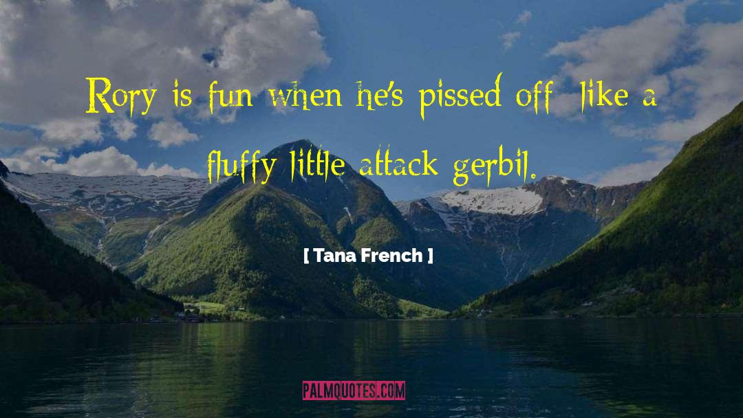 Tana French Quotes: Rory is fun when he's