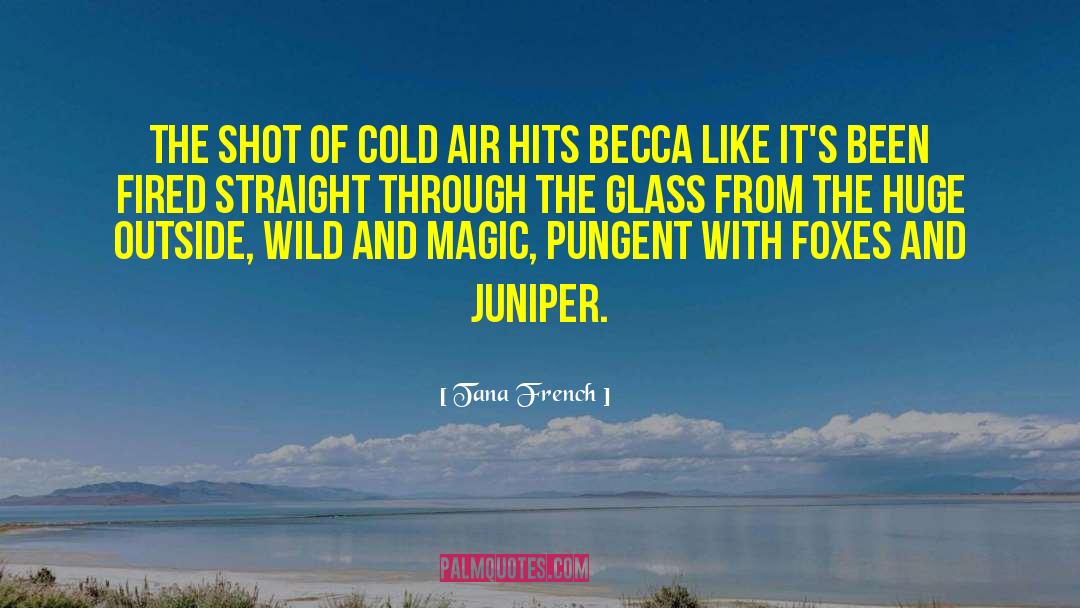 Tana French Quotes: The shot of cold air