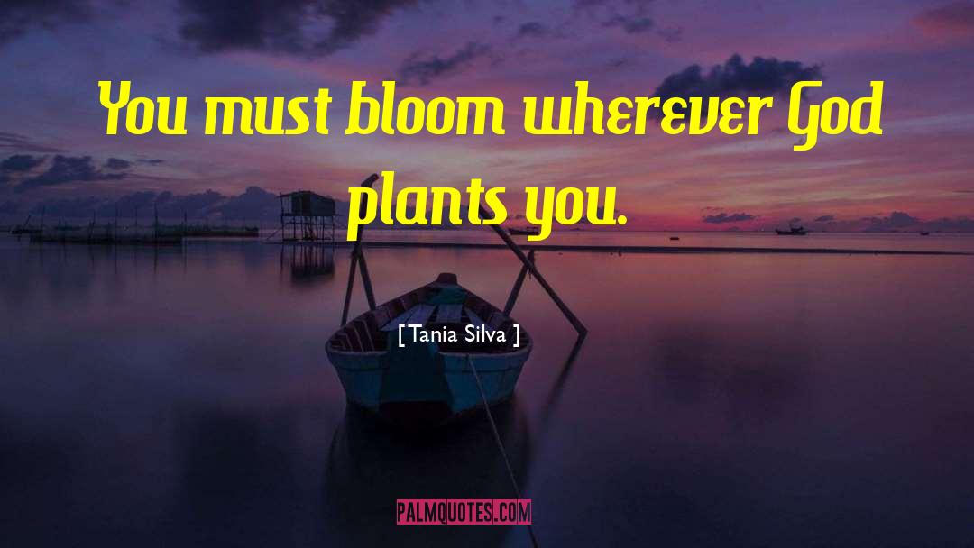 Tania Silva Quotes: You must bloom wherever God