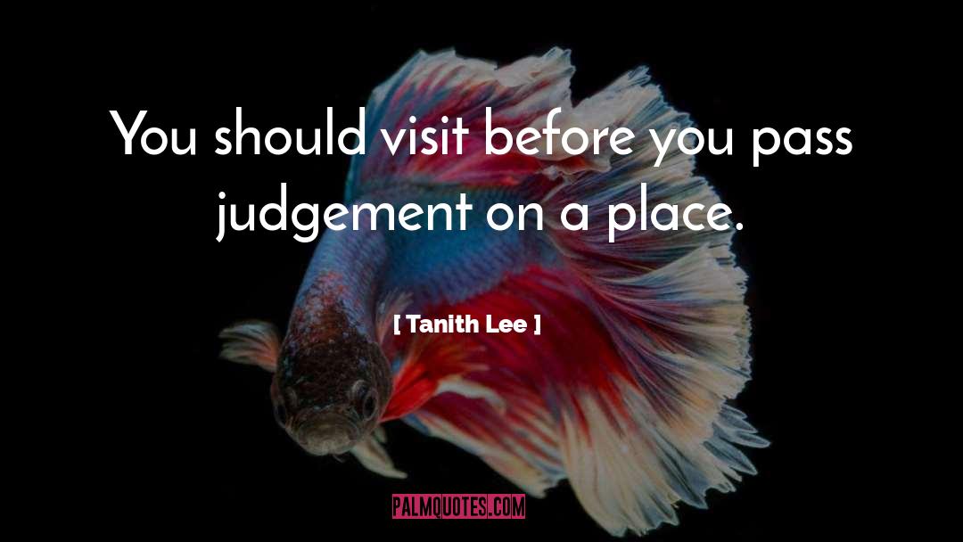 Tanith Lee Quotes: You should visit before you