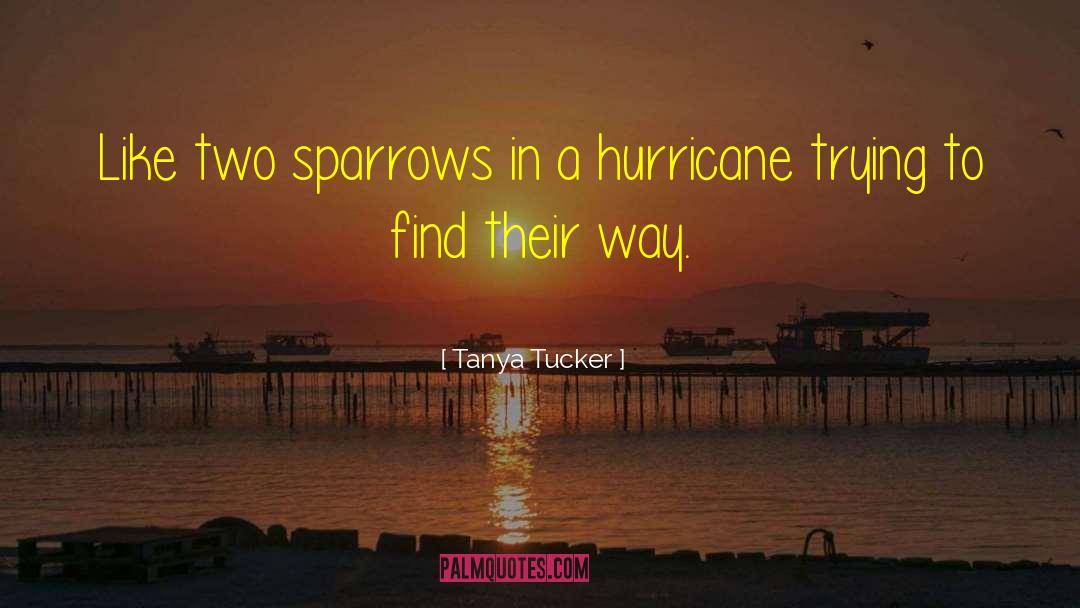 Tanya Tucker Quotes: Like two sparrows in a
