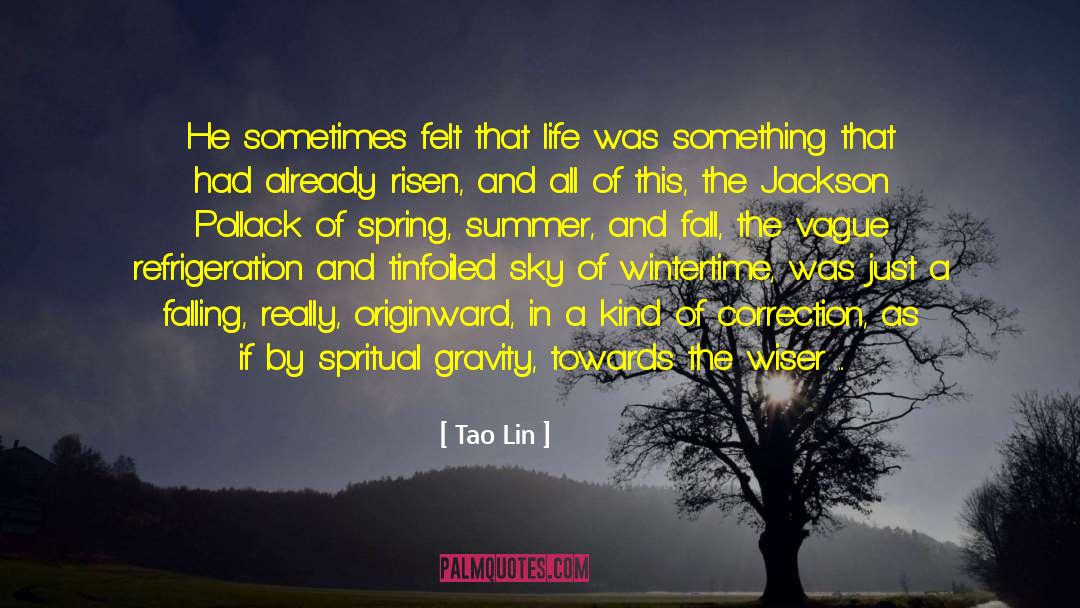 Tao Lin Quotes: He sometimes felt that life