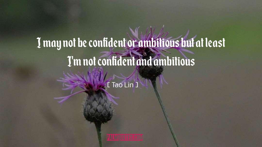 Tao Lin Quotes: I may not be confident