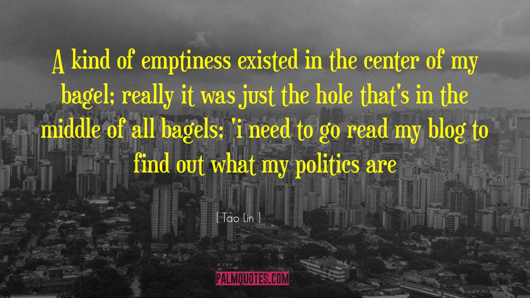Tao Lin Quotes: A kind of emptiness existed