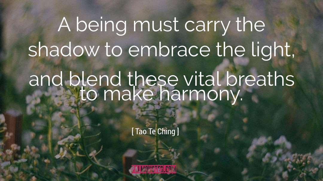 Tao Te Ching Quotes: A being must carry the