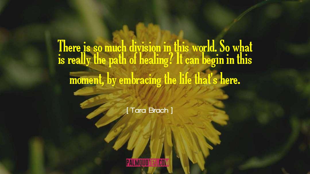 Tara Brach Quotes: There is so much division