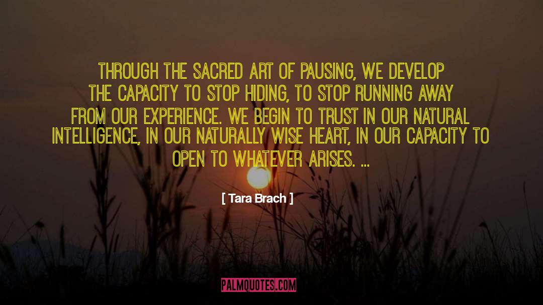Tara Brach Quotes: Through the sacred art of