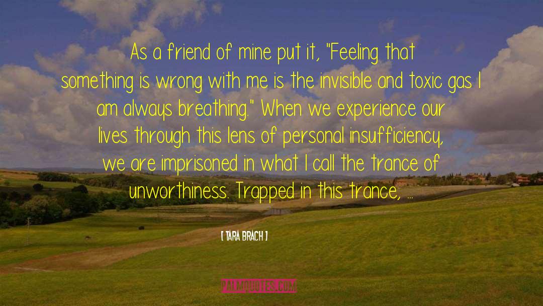 Tara Brach Quotes: As a friend of mine