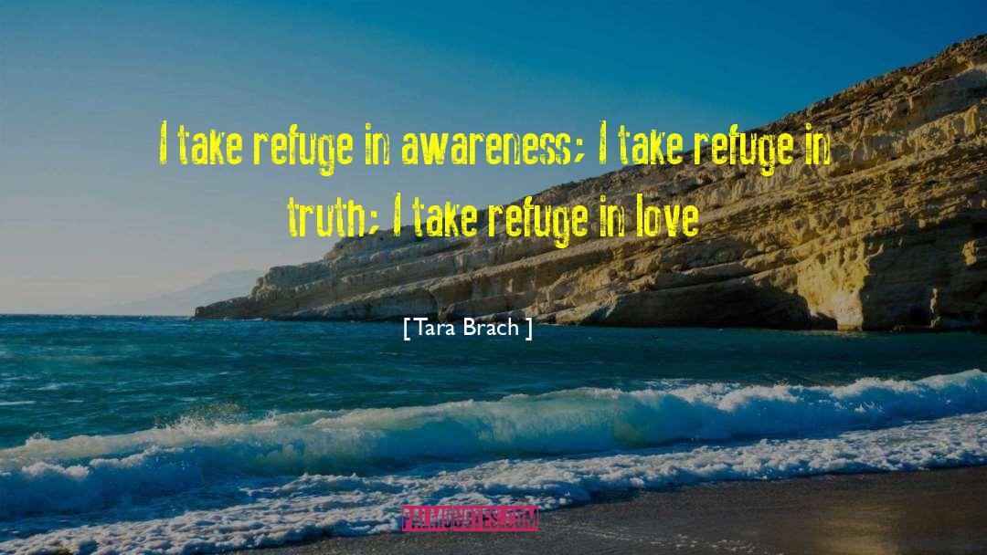 Tara Brach Quotes: I take refuge in awareness;