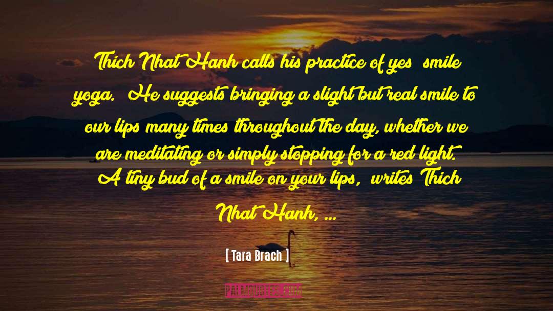 Tara Brach Quotes: Thich Nhat Hanh calls his