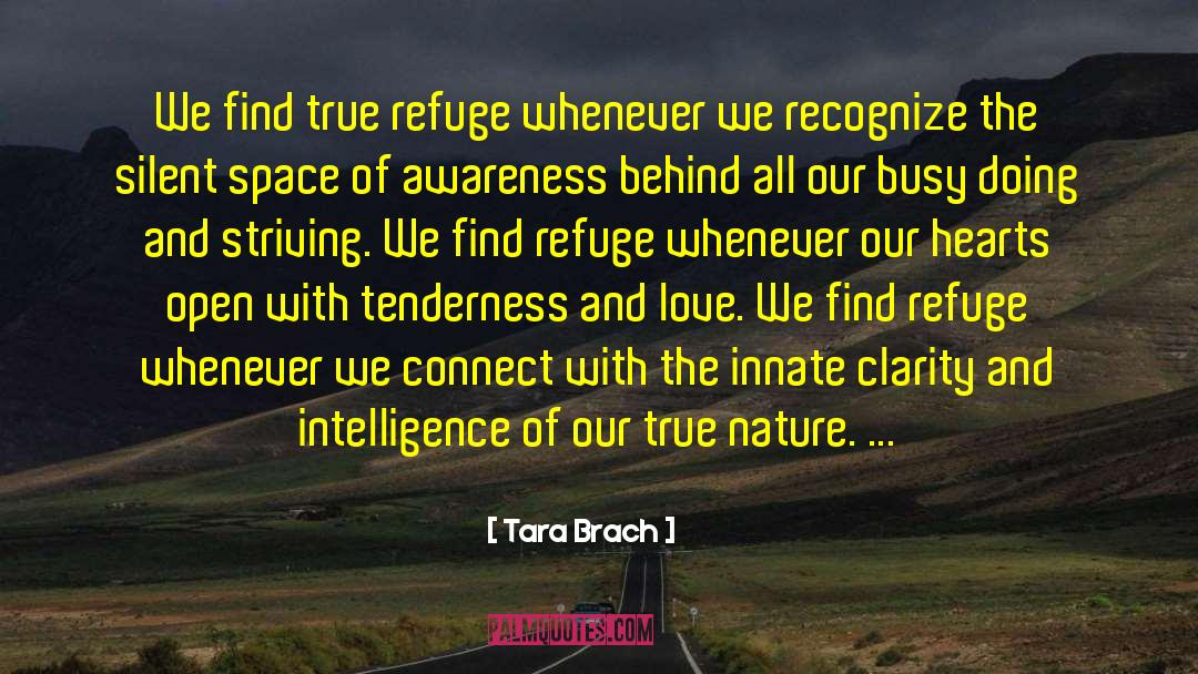 Tara Brach Quotes: We find true refuge whenever