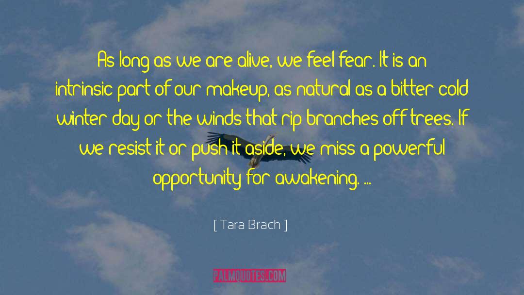 Tara Brach Quotes: As long as we are