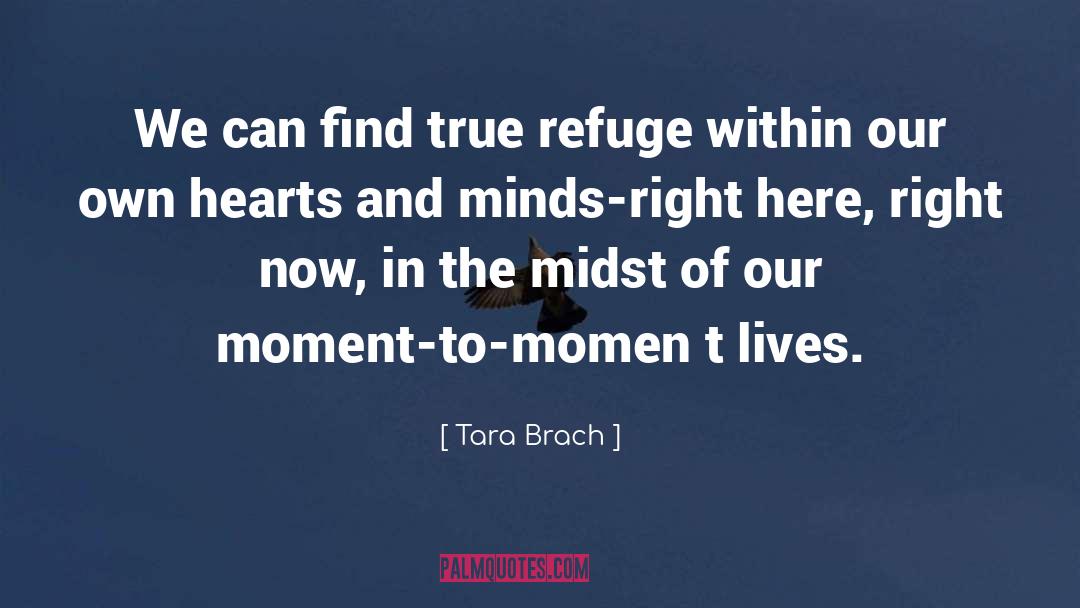 Tara Brach Quotes: We can find true refuge
