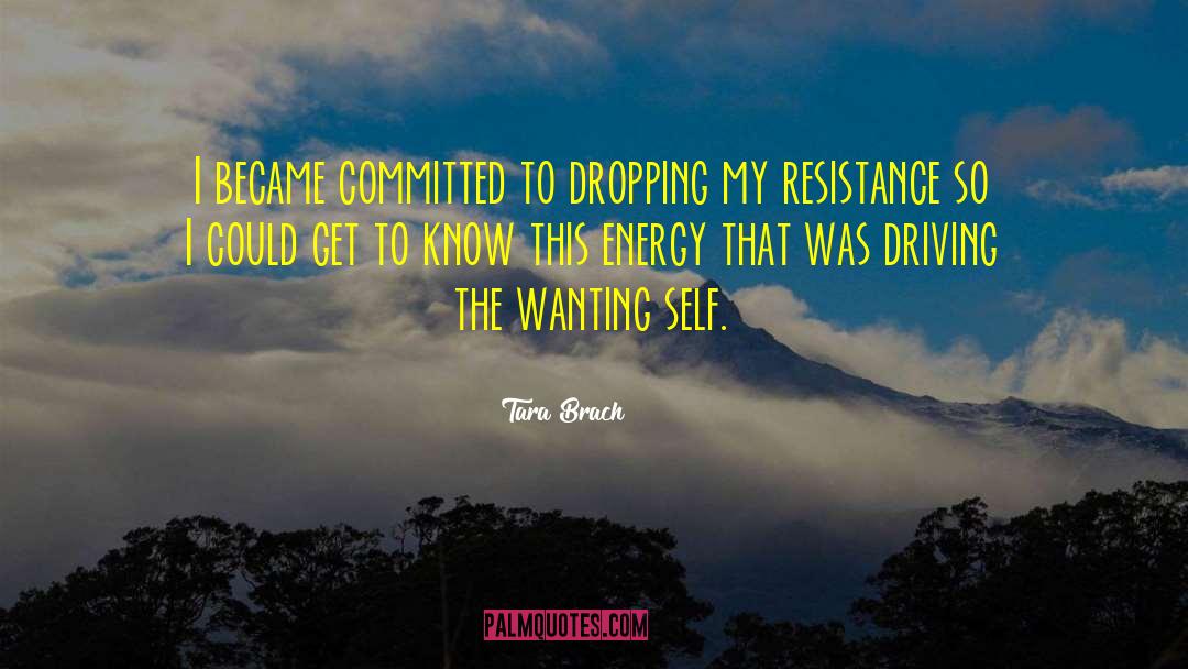 Tara Brach Quotes: I became committed to dropping