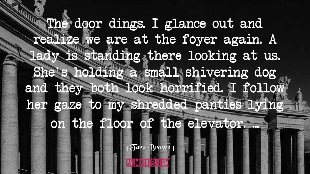 Tara Brown Quotes: The door dings. I glance