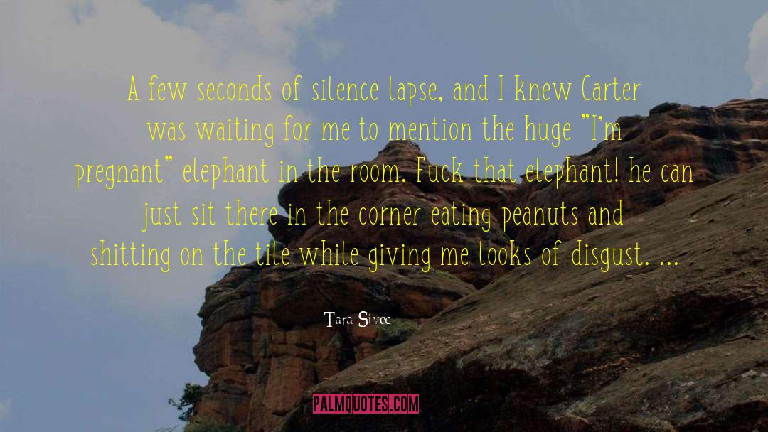 Tara Sivec Quotes: A few seconds of silence