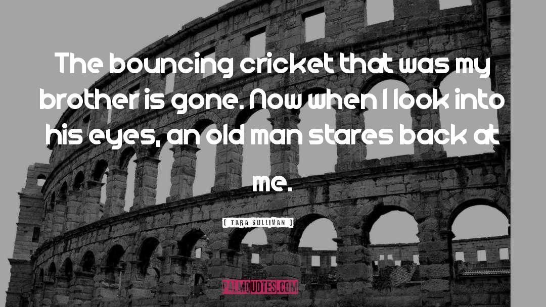 Tara Sullivan Quotes: The bouncing cricket that was