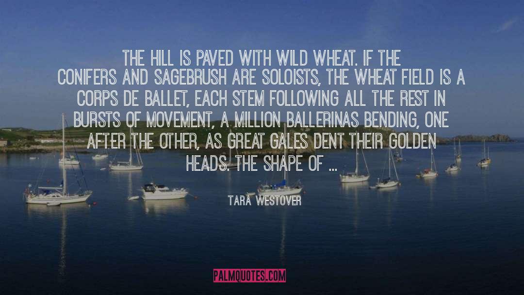 Tara Westover Quotes: The hill is paved with