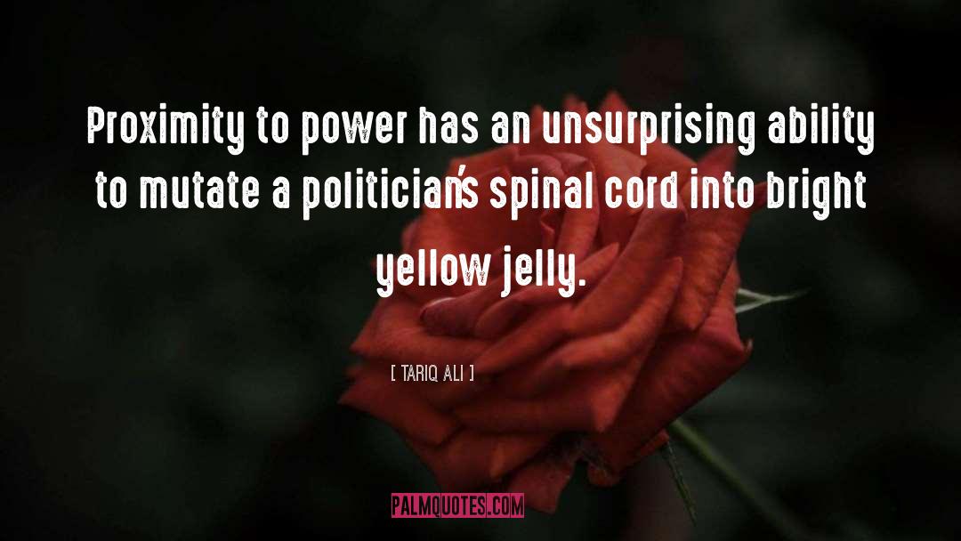 Tariq Ali Quotes: Proximity to power has an