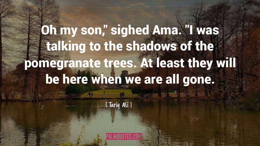 Tariq Ali Quotes: Oh my son,