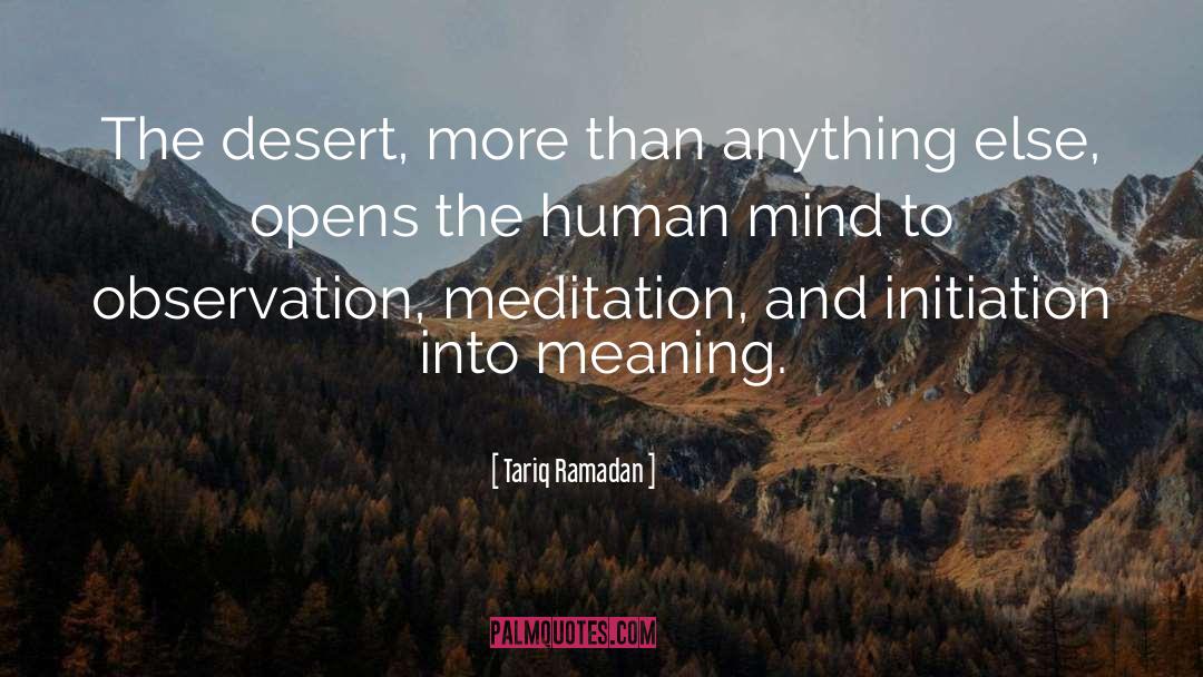 Tariq Ramadan Quotes: The desert, more than anything