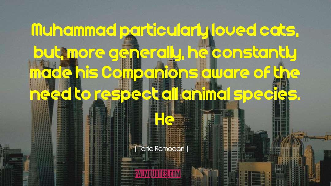 Tariq Ramadan Quotes: Muhammad particularly loved cats, but,