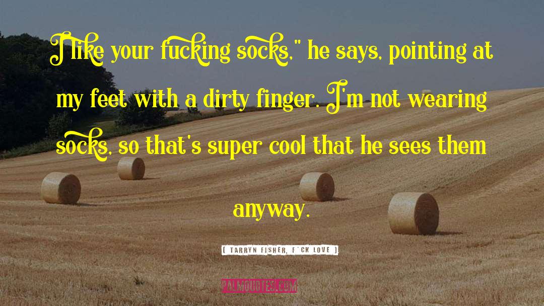 Tarryn Fisher, F*ck Love Quotes: I like your fucking socks,