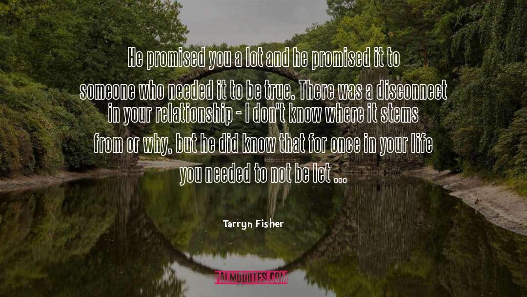 Tarryn Fisher Quotes: He promised you a lot