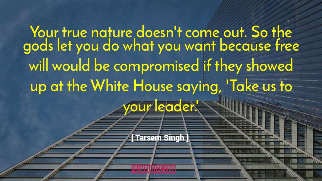 Tarsem Singh Quotes: Your true nature doesn't come