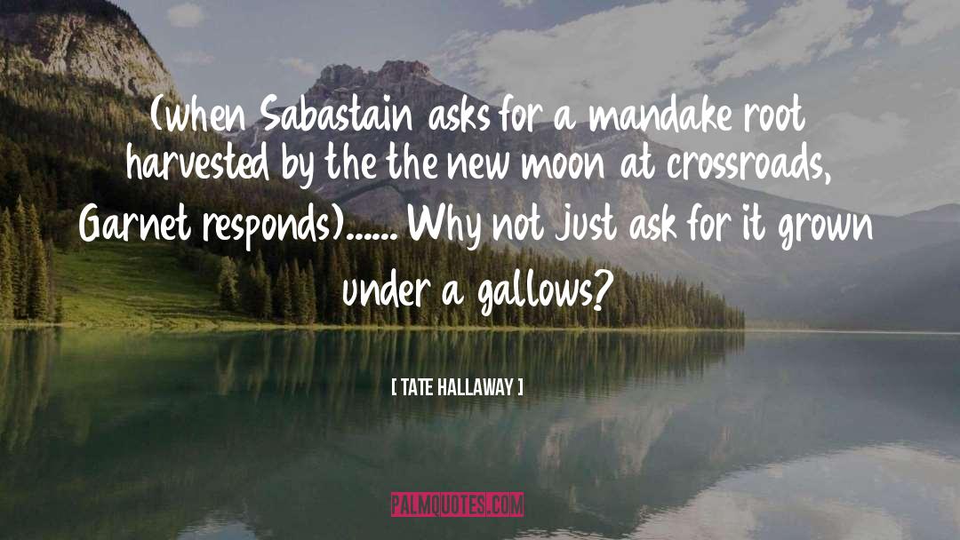 Tate Hallaway Quotes: (when Sabastain asks for a