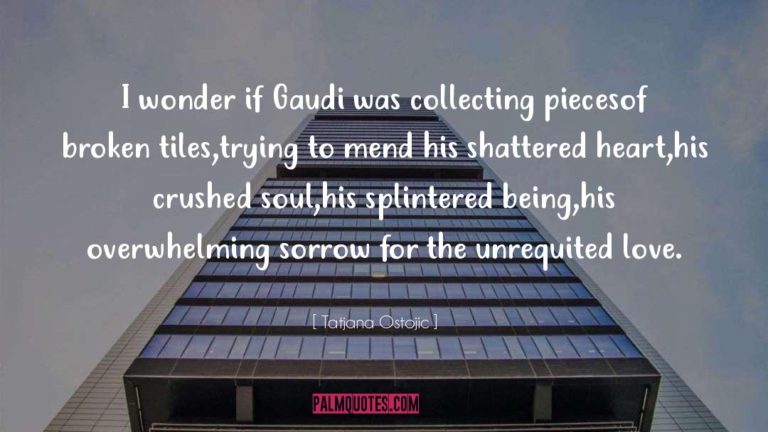 Tatjana Ostojic Quotes: I wonder if Gaudi was