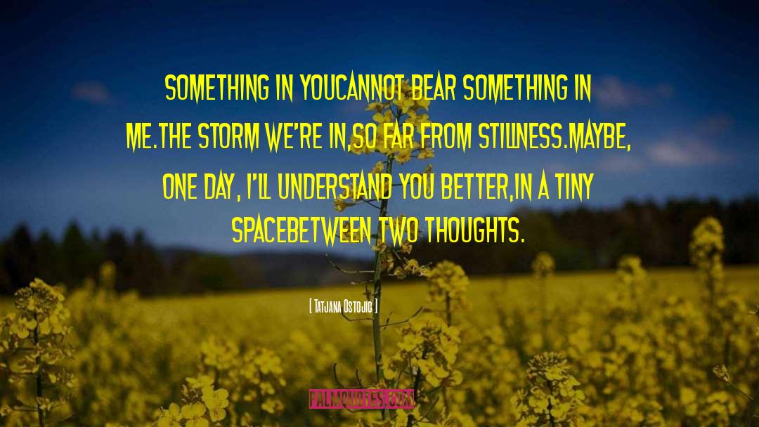Tatjana Ostojic Quotes: Something in you<br />cannot bear