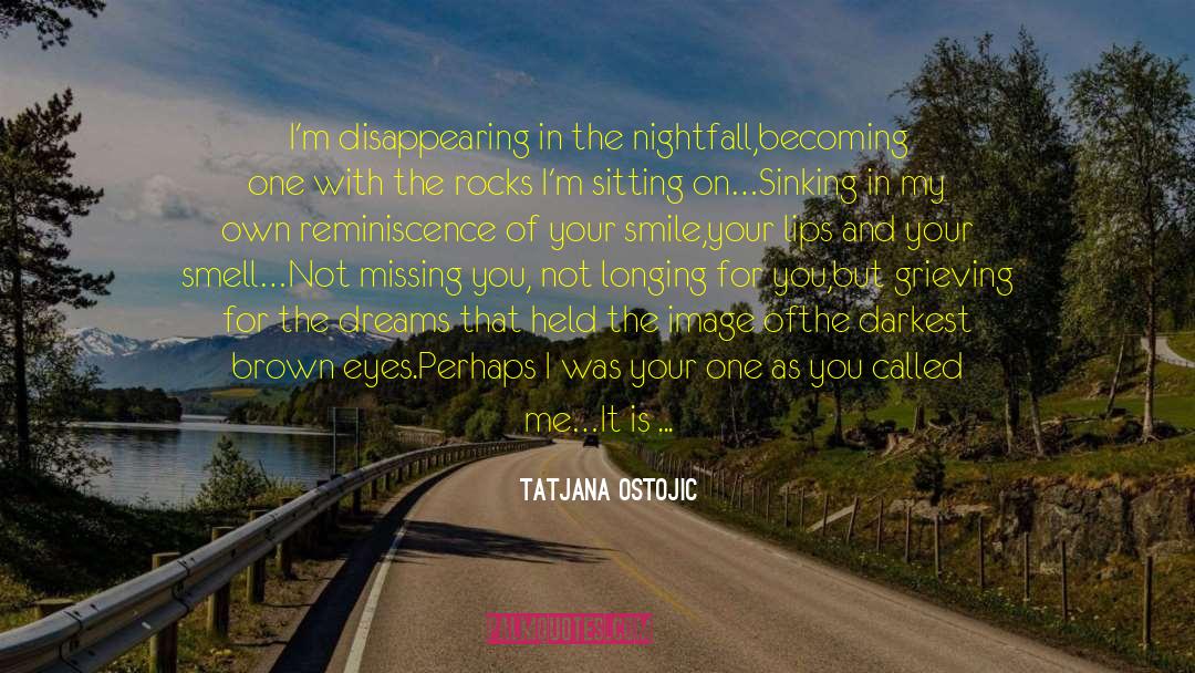 Tatjana Ostojic Quotes: I'm disappearing in the nightfall,<br