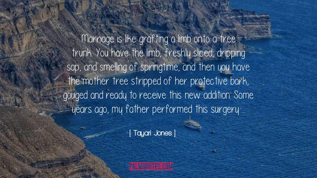 Tayari Jones Quotes: Marriage is like grafting a