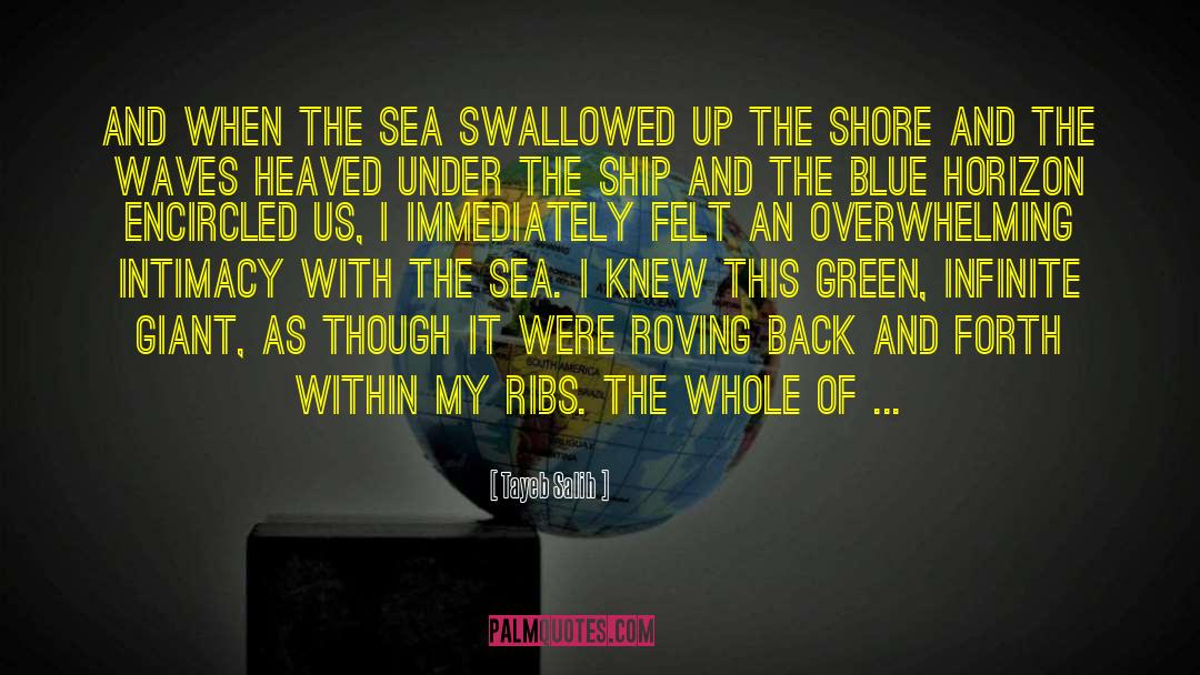 Tayeb Salih Quotes: And when the sea swallowed
