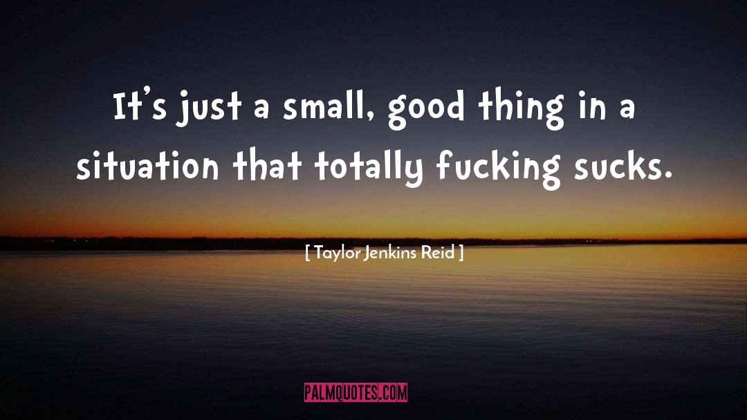 Taylor Jenkins Reid Quotes: It's just a small, good