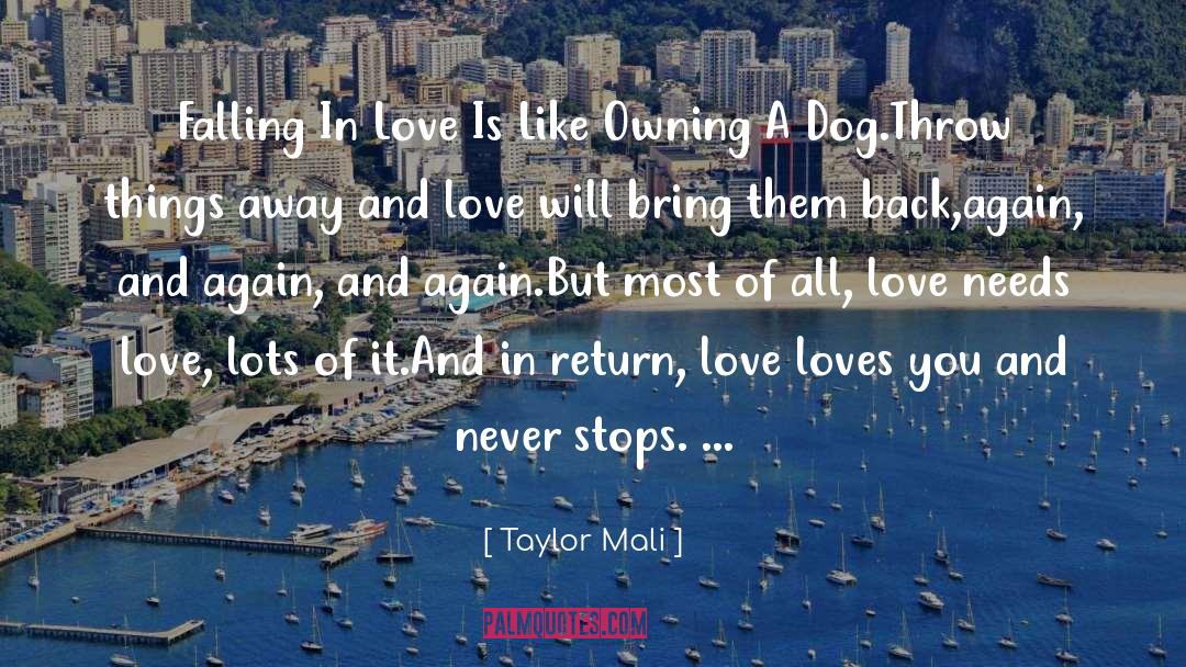 Taylor Mali Quotes: Falling In Love Is Like