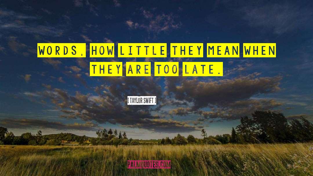 Taylor Swift Quotes: Words, how little they mean