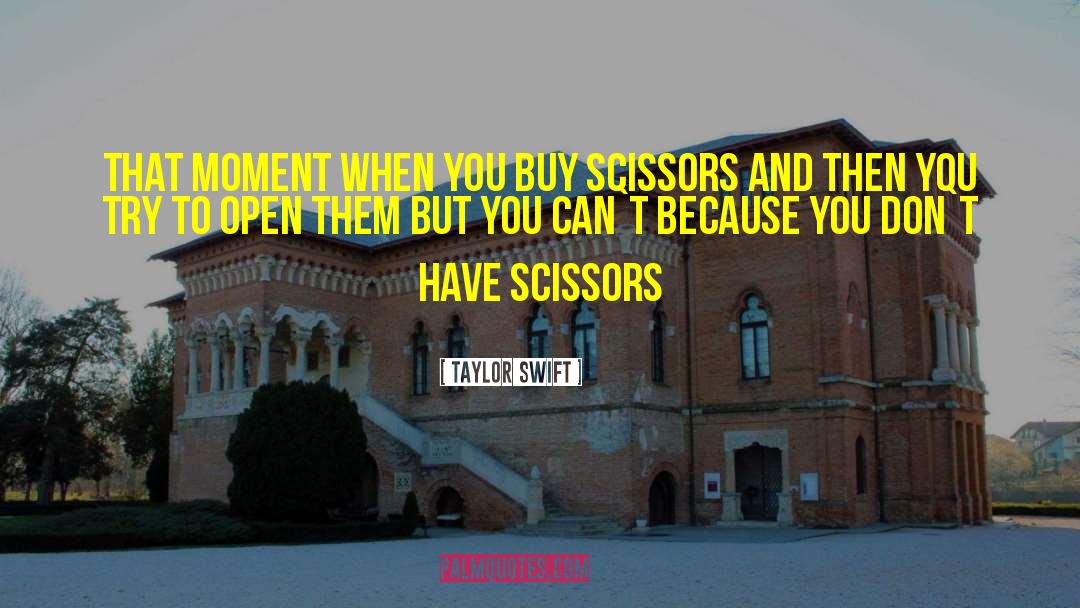 Taylor Swift Quotes: That moment when you buy