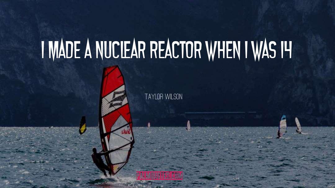 Taylor Wilson Quotes: I made a nuclear reactor