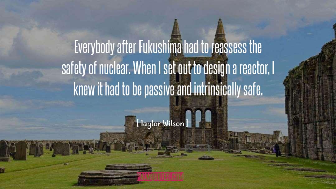 Taylor Wilson Quotes: Everybody after Fukushima had to