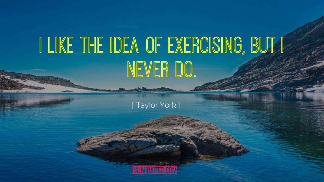 Taylor York Quotes: I like the idea of