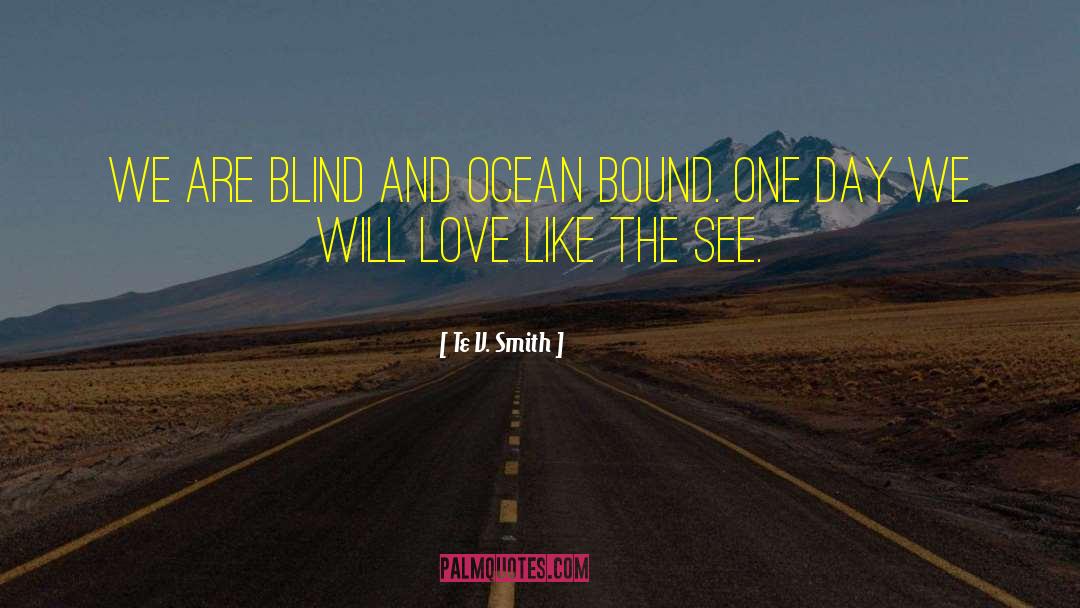 Te V. Smith Quotes: We are blind and ocean