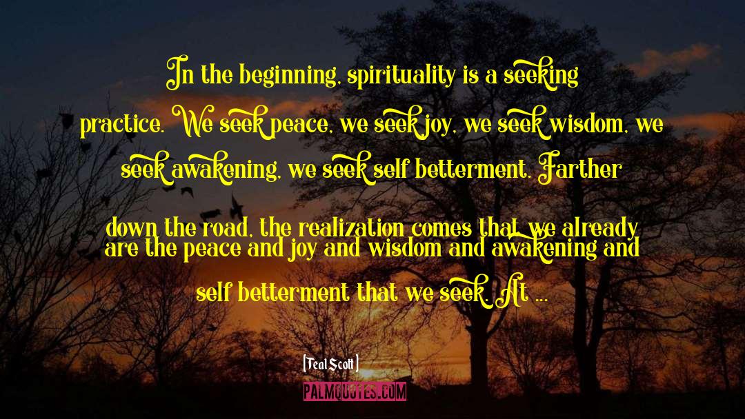 Teal Scott Quotes: In the beginning, spirituality is