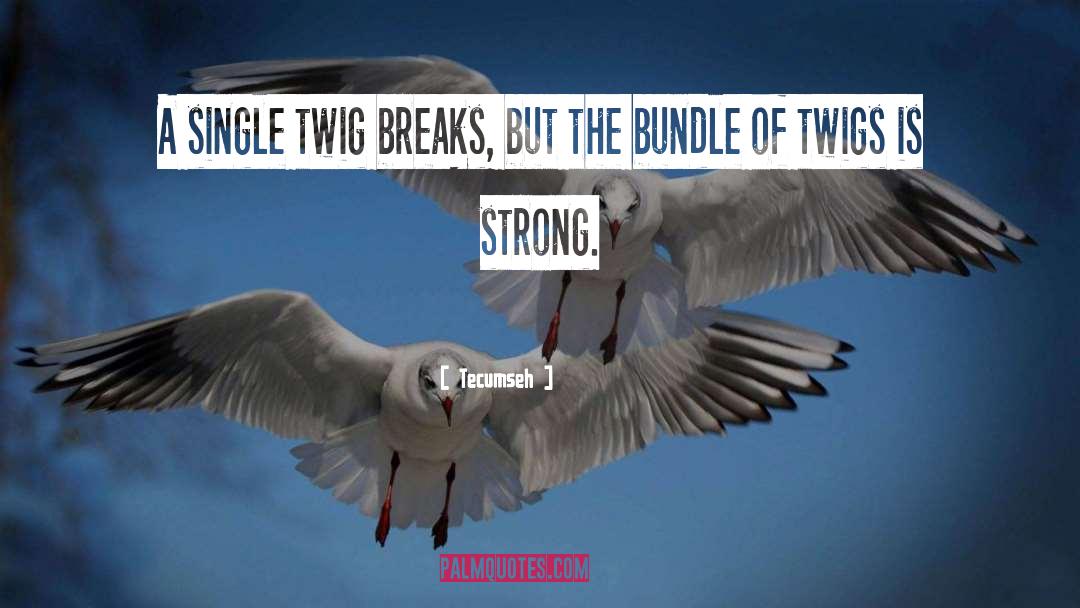 Tecumseh Quotes: A single twig breaks, but