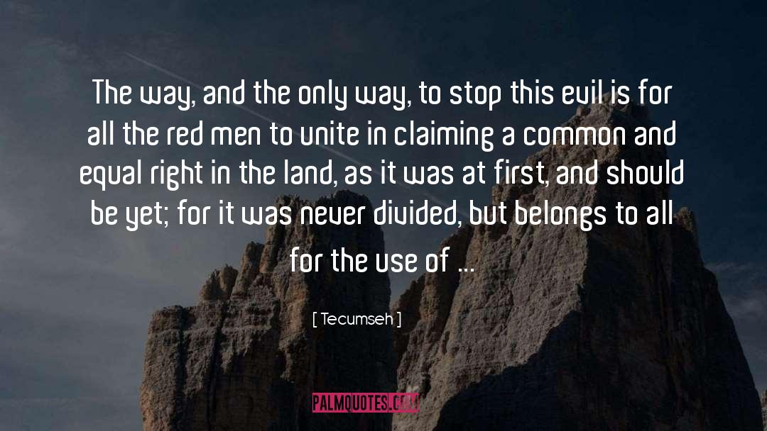 Tecumseh Quotes: The way, and the only