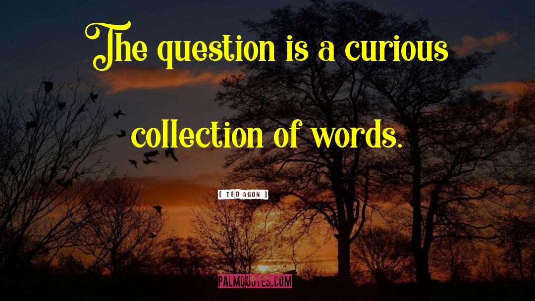 Ted Agon Quotes: The question is a curious